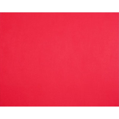 QUILL BOARD 210GSM 510 X 635MM RED