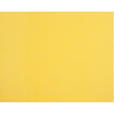 QUILL BOARD 210GSM 510 X 635MM LEMON
