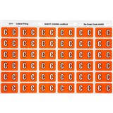 AVERY 43303 LATERAL FILE LABEL SIDE TAB COLOUR CODE C 25 X 38MM ORANGE PACK 180