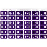 AVERY 43321 LATERAL FILE LABEL SIDE TAB COLOUR CODE U 25 X 38MM PURPLE PACK 180