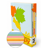 CLEARCOPY COLOURED COPY PAPER A4 80GSM ASSORTED 500 SHEETS