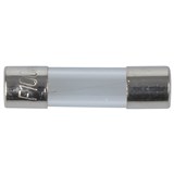 QUICK BLOW FUSE M205 100MA 20 X 5MM