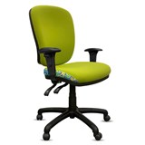 ORANGE DUST SPECTRUM ALICE OFFICE CHAIR WITH ARMS HIGH BACK 510 X 490 X 960MM EUCALYPTUS GREEN