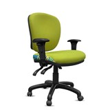 ORANGE DUST SPECTRUM ALICE OFFICE CHAIR WITH ARMS MEDIUM BACK 510 X 490 X 880MM EUCALYPTUS GREEN