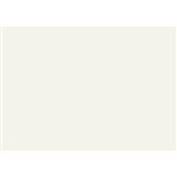 GBC IBICO BINDING COVER GLOSS 250GSM A4 WHITE PACK 100
