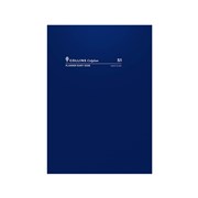 Planner Diaries