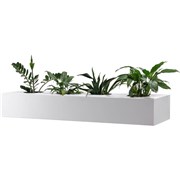 Cupboard Accessories