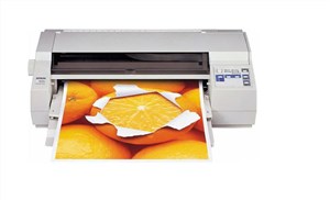 EPSON STYLUS COLOR  1520