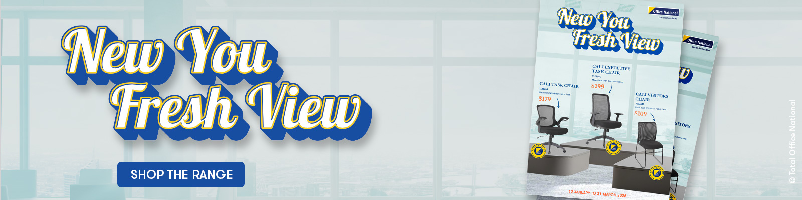 New You Fresh View Flyer